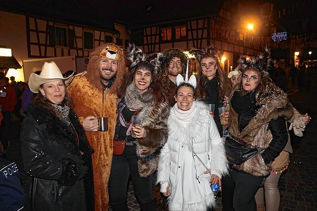 Bild 17: Große närrische Sause beim Seenarrentreffen 2024 in Allensbach