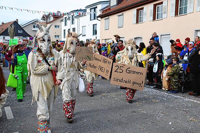 Bild 26: So bunt war der große Umzug beim Seenarrentreffen in Allensbach 2024 &ndash; Teil 1