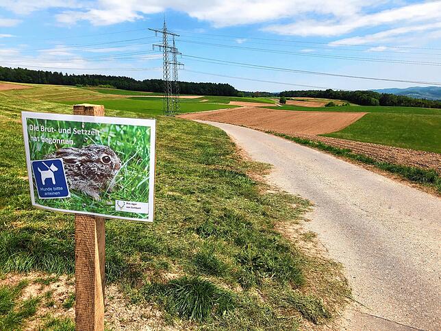 Bild 2: Wandern vor der Haustür (Teil 2): Vom Eschbacher Wasserschloss zum Pusteblumen-Paradies