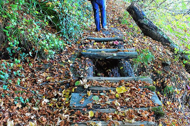 Schäden an einem der Wege bei der Marienschlucht.