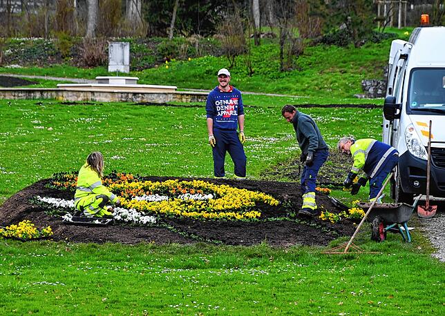 Nach Maja wird Willi mit Blumen gepflanzt.
