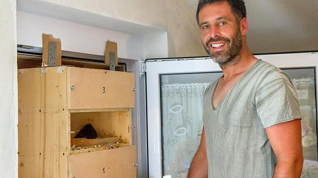 Markus Schwerer opfert einen Großteil seiner Freizeit, um Nistmöglichkeiten für Mauersegler zu schaffen