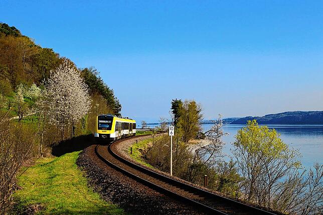 Ein Zug auf der Gürtelbahn am Bodenseeufer bei Sipplingen. Auch hier wird um den Ausbau gerungen.