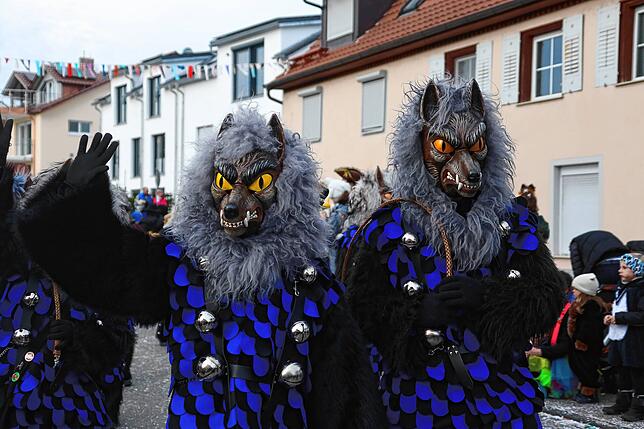 Bild 14: So bunt war der große Umzug beim Seenarrentreffen in Allensbach 2024 &ndash; Teil 3