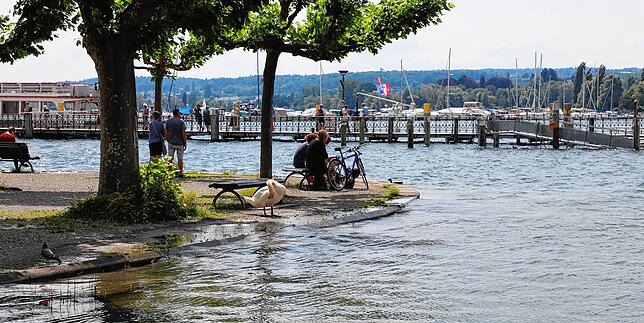 (Archivbild) Eine Halbinsel am Konzil in Konstanz. Das Wasser reichte im Frühsommer bis zur obersten Stufe.