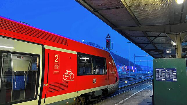 Eine Regionalbahn steht im Bahnhof Waldshut. (Archivbild) Ein Mann (53) hat in so einem Zug eine Zugbegleiterin bei der ...