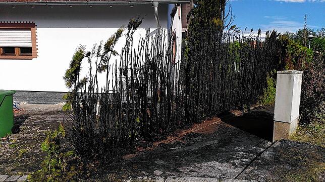 Die Feuerwehr löscht am Mittwoch einen Heckenbrand in Grüningen und verhindert Schlimmeres.