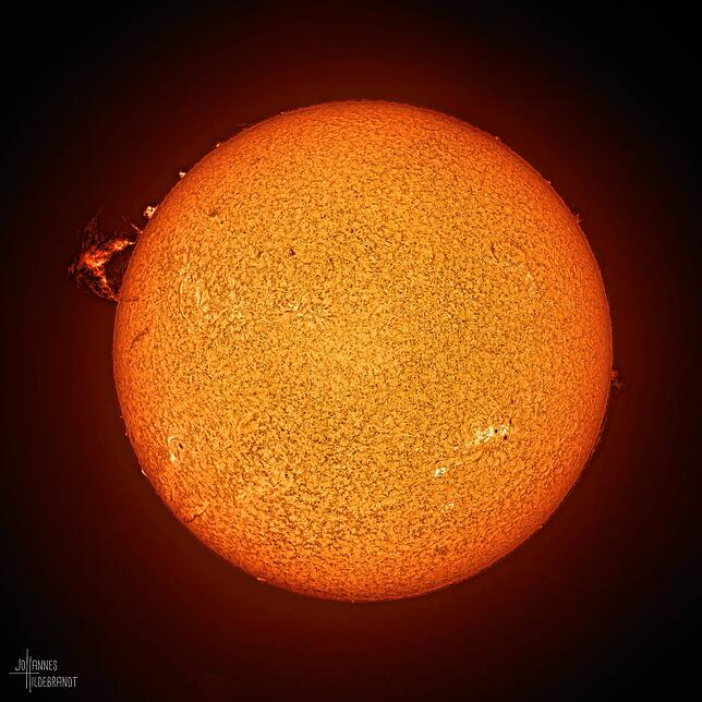 Protuberanzen, Materieströme auf der Sonne, kommen etwa alle elf Jahre in solch‘ gewaltigen Ausmaßen vor. Von der Sternwarte Überlingen ...