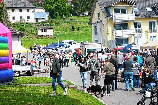 Bild 42: Stühlinger Frühling