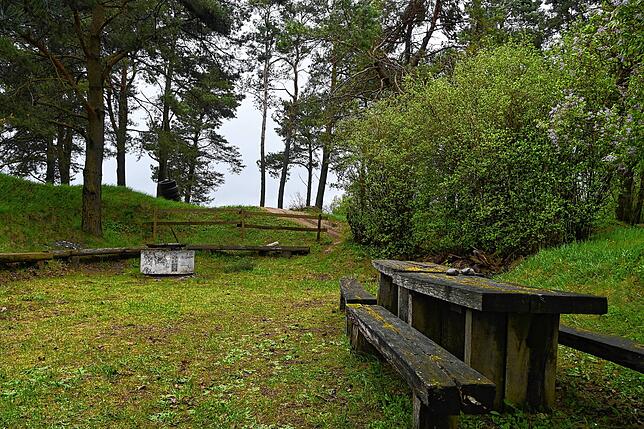 Der Grillplatz auf dem Kühneberg. Der Funkmast soll ungefähr rechts in den Bereich hinter den sichtbaren Bäumen kommen.