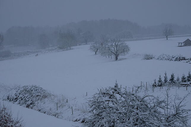 Schnetzenhausen ale Wintermärchen.