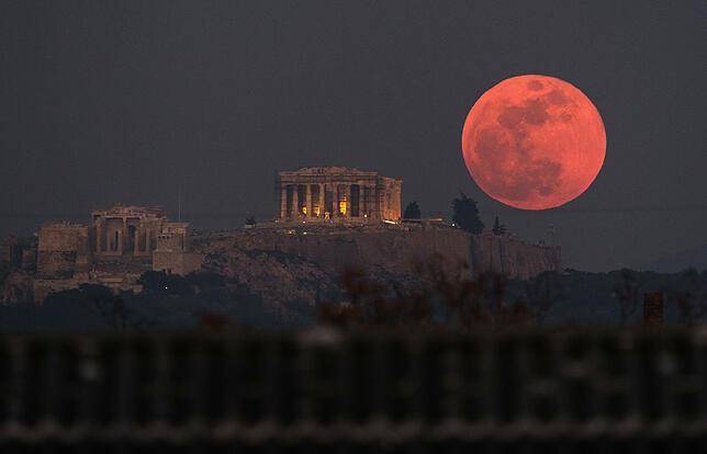 Blutmond über Athen: Ob den Eulen das Naturschauspiel gefällt?