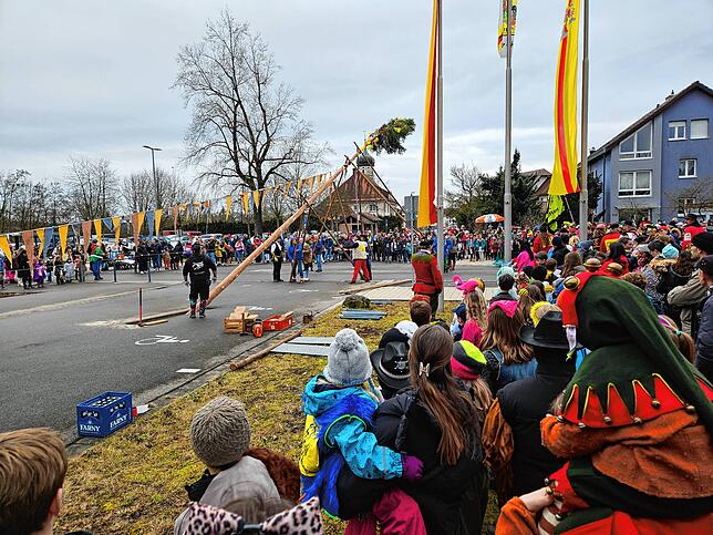 Bild 4: Der Narrenbaum in Kluftern steht