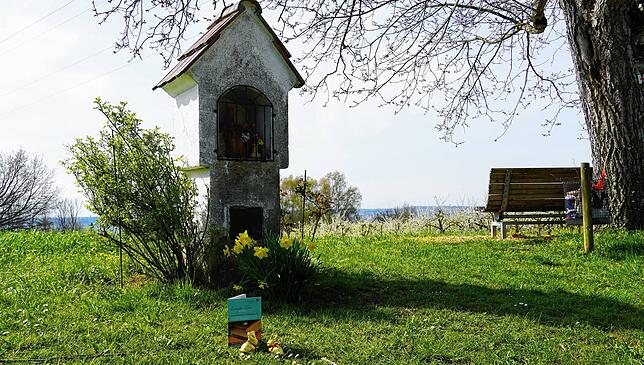 Einmalig und ganz neu am Bodensee ist die Escape-Tour in Bermatingen, eine Wanderung mit Rätselspaß.