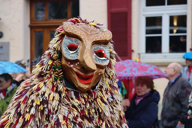 Bild 14: Großer Festumzug in Möggingen: Tausende besuchen das Seenarrentreffen trotz Regen!