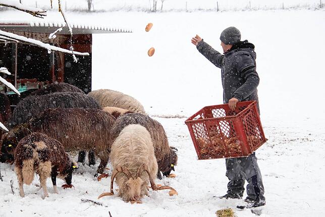 Bild 33: Das kommt so bald nicht wieder: Neue Bilder aus dem Winterwunderland rund um Überlingen und Salem