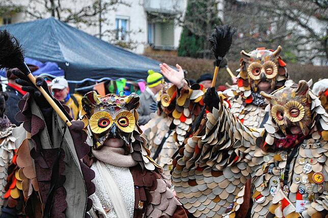 Bild 5: Bilder vom Kleggau-Narrentreffen (Teil 2)