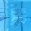 Der erste Sprung ins Wasser seit 8 Monaten.