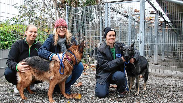 Sind im Tierheim Radolfzell im Einsatz (von links): Nathalie Rode, Julia Bierbach und Tabitha Schmid mit den Hündinnen Jacy und Breezy