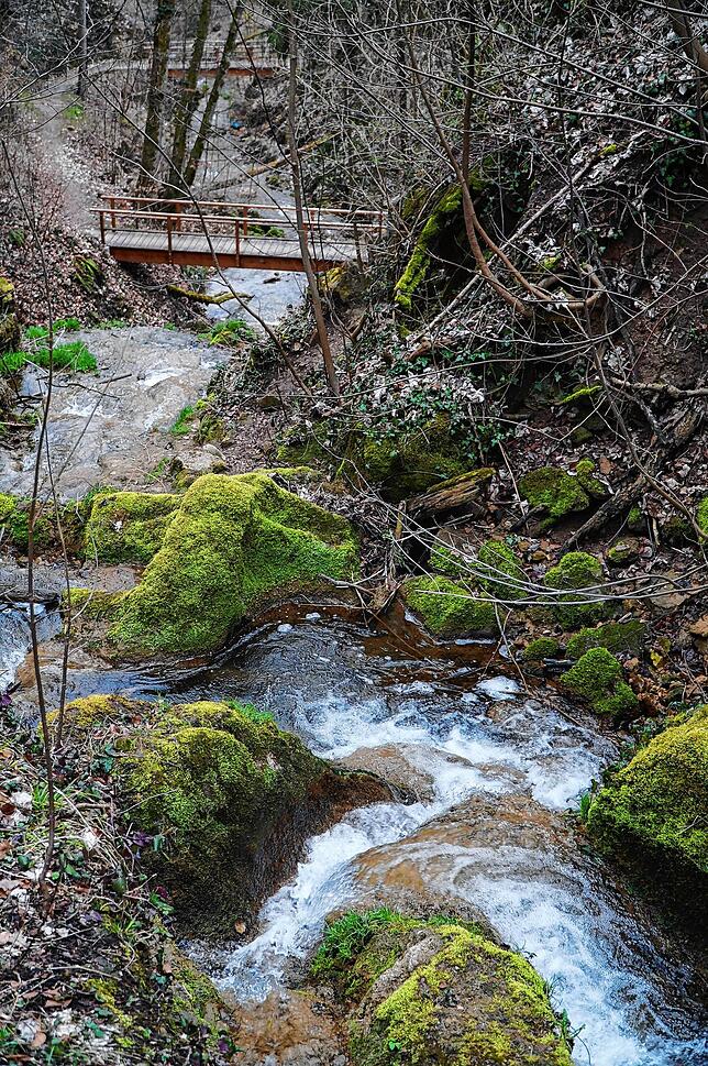 Je nach Quelle wird der Bach in der Mühlbachschlucht „Mühlbach“ oder auch „Alter Bach“ genannt.
