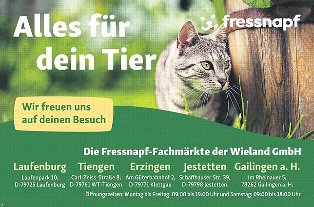 Bild 5: Schwyzertag Tiengen: Großes Festprogramm