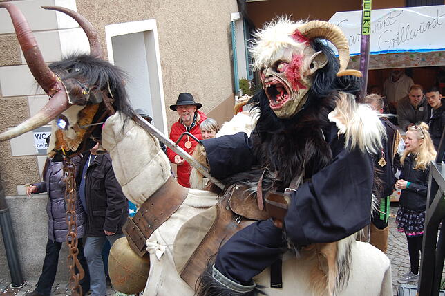 Bild 4: Bilder vom Fasnachtsumzug in Laufenburg (2)
