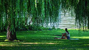Eine Frau sucht am 13. August in Heidelberg Abkühlung im Schatten eines Baumes. Auch in den kommenden Tagen bleibt es heiß in ...
