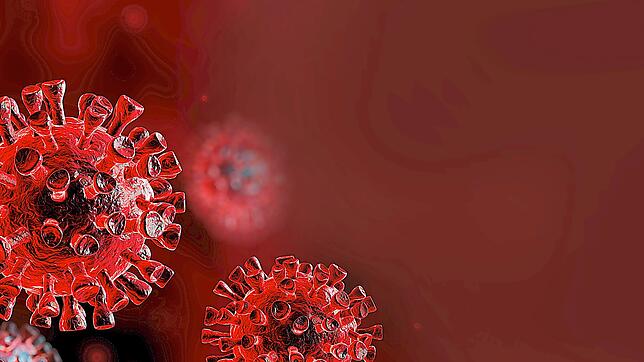 Computergenerierte Darstellung des Coronavirus. Bild: Romolo Tavani &ndash; stock.adobe.com