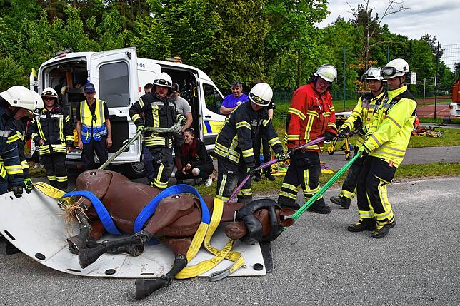 Auch im Ernstfall müssen die ehrenamtliche Retter zusammenarbeiten, um das bestmögliche Ergebnis zu erzielen. Hier führt die Tierrettung ...