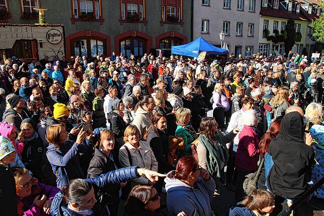 Bild 12: Kilbig Bräunlingen: So schön ist der Montag