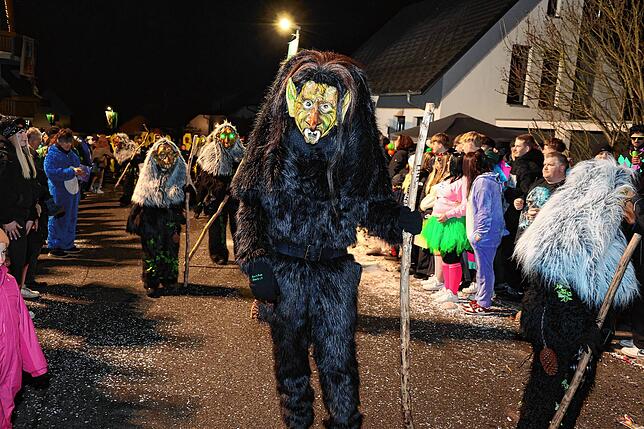 Bild 14: Nachtumzug in Pfaffenweiler (2/2)