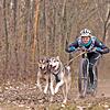 Im slowakischen Samorin wurde die 20-jährige Jessica Paulsen aus Weizen mit ihren beiden Schlittenhunden Speed und Winner den ...
