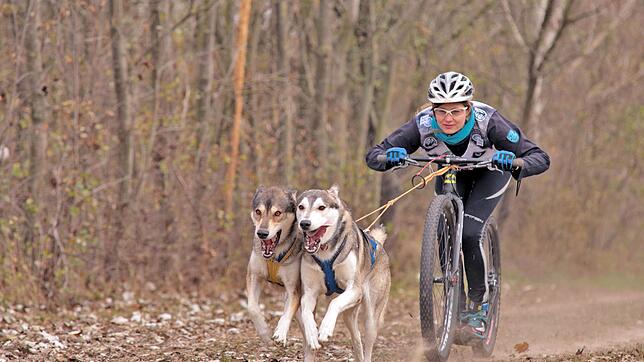 Im slowakischen Samorin wurde die 20-jährige Jessica Paulsen aus Weizen mit ihren beiden Schlittenhunden Speed und Winner den ...