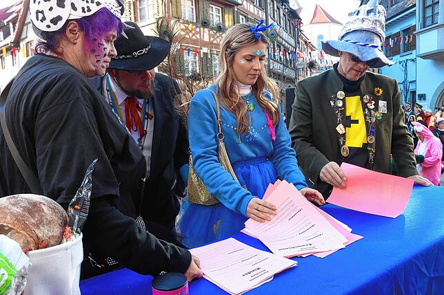 Bild 9: Meersburger Fasnacht: Die schönsten Bilder vom Kärrelerennen 2025