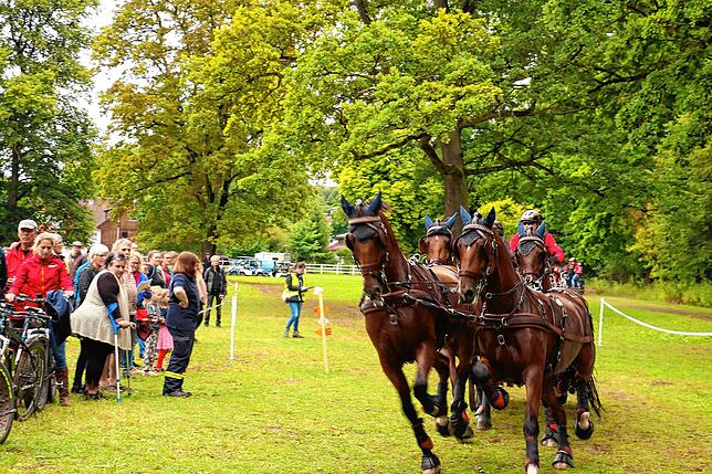 Großes Kino: Marathonfahrt für Vierspänner-Pferde beim Reitturnier Donaueschingen 2019