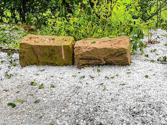 Einige Blütenpracht gehörte nach dem Hagelwetter der Vergangenheit an.