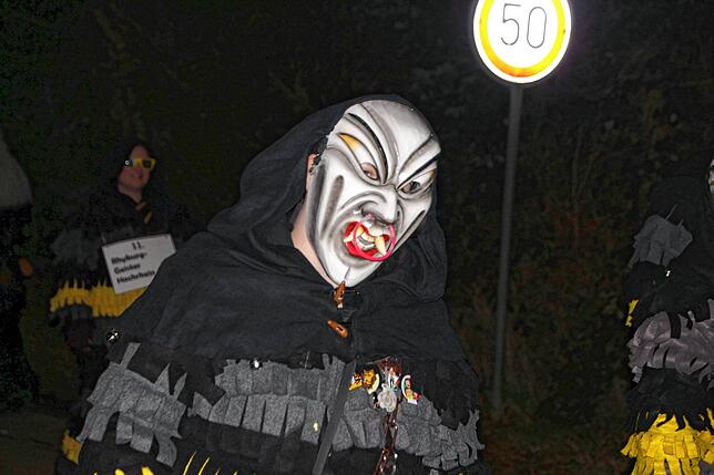 Bild 34: Bilder vom Nachtumzug beim Kleggau-Narrentreffen am Samstag