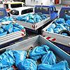 So viel Müll wird im März innerhalb von rund zwei Stunden bei Donaueschingen eingesammelt. Die illegale Entsorgung von Müll ist ein ...