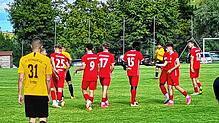 Linzgauer Jubel im Schwarzwald. Die Spieler des SC Pfullendorf nach dem Treffer zum 1:2.