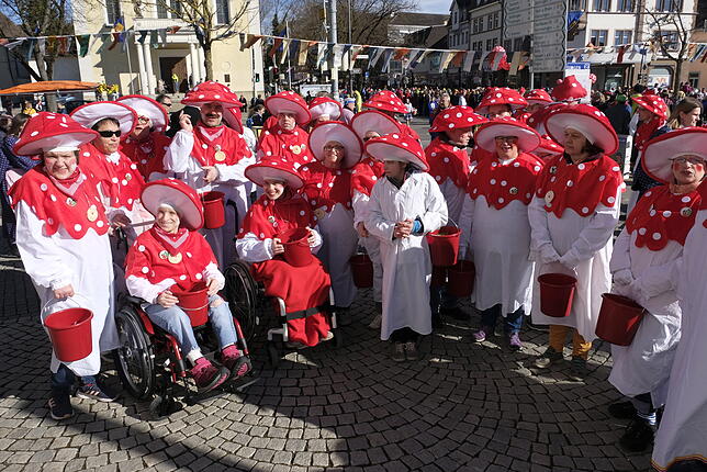 Bild 20: Bilder vom großen Fasnet Samschdig-Umzug der Poppele-Zunft (1)