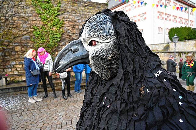 Bild 23: Die schönsten Bilder vom Narrenumzug in Tiengen &ndash; Teil 2