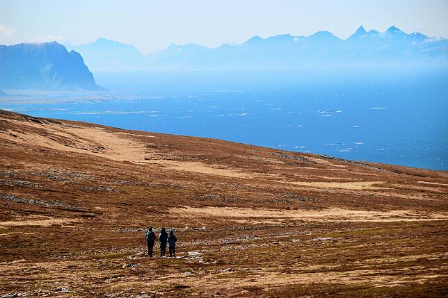 Ein Sehnsuchtsort, und eine schroffteLandschaft knapp über dem Meeresspiegel: Wanderung bei Bleik auf den Vesterålen, die Insel liegt ...