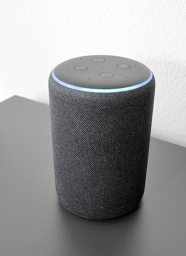 Eine von vier Echo-Boxen in der Wohnung.