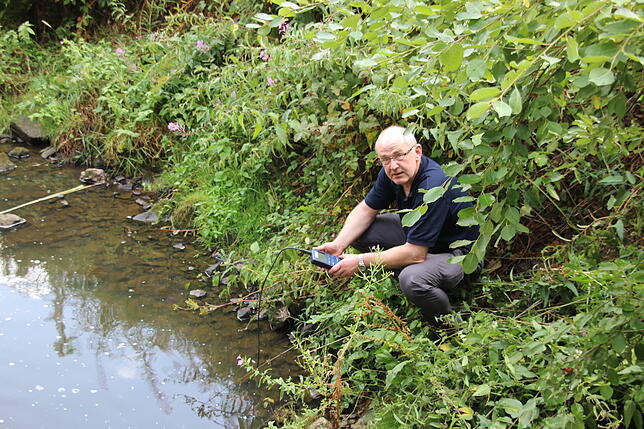 Bild 1: Hitzewelle: Wasser von Brigach und Klosterweiher derzeit zu warm
