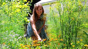 Die Ringelblumenblüten pflückt Elke Veeser um die Mittagszeit, weil sie dann die Kraft in den Blüten steckt.