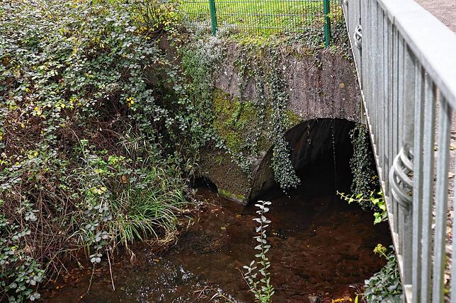 Die Brücke, welche die L 154 über den Andelsbach in Laufenburg führt, belegt die Zustandsnote 3,1.