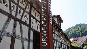 In der historischen Torkel ist derzeit noch das Urweltmuseum untergebracht. Wie es nach der Schließung des Museums mit dem Gebäude ...