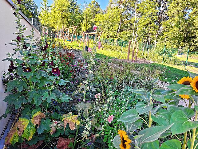 Im Oktober vergangenen Jahres wurde der Awo-Kindergarten eingeweiht, jetzt blüht auch die naturnahe Gartenanlage auf.