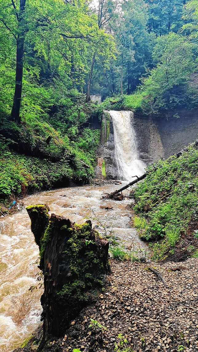 Auf der Schluchtensteig-Etappe von Blumberg nach Achdorf ist der Weg über die Himmelsleiter zu den Schleifenbachwasserfällen die ...