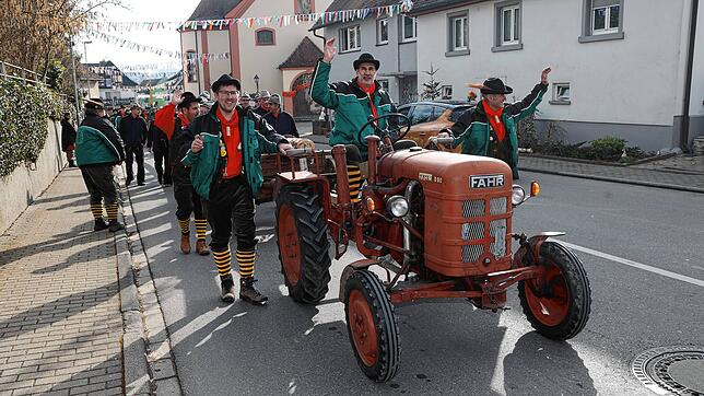 Bild 4: Seenarrentreffen in Dettingen: Auf dem Dorfplatz steht jetzt der Narrenbaum